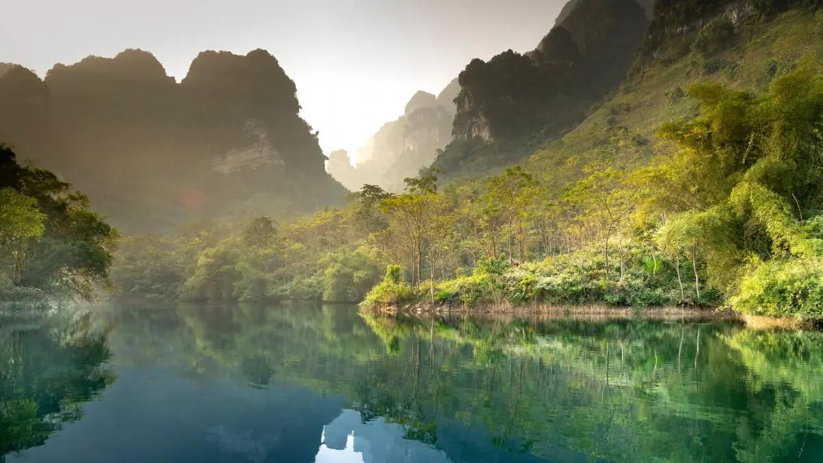 高标准电子可靠性